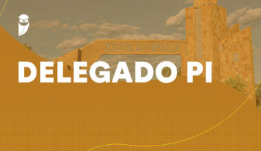 Concurso delegado PI