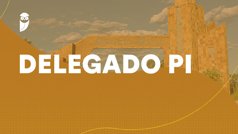 Lançamento Oficial | Curso de Fase Escrita – Delegado PC PI