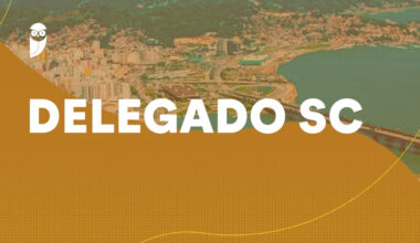 Concurso delegado SC