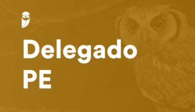 concurso delegado pe