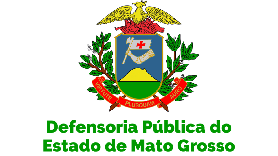 Defensor DPE MT: Disciplinas Estratégicas