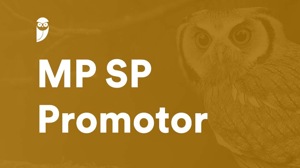 Prova Comentada Promotor MP SP