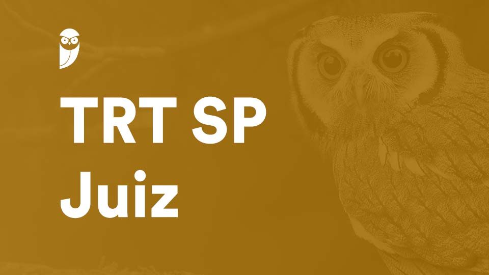 Concurso TRT SP Juiz: publicação de novo edital é discutida!