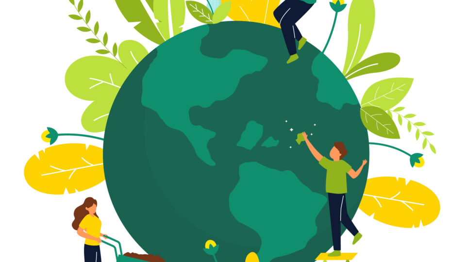 Sistema Nacional do Meio Ambiente: Resumo