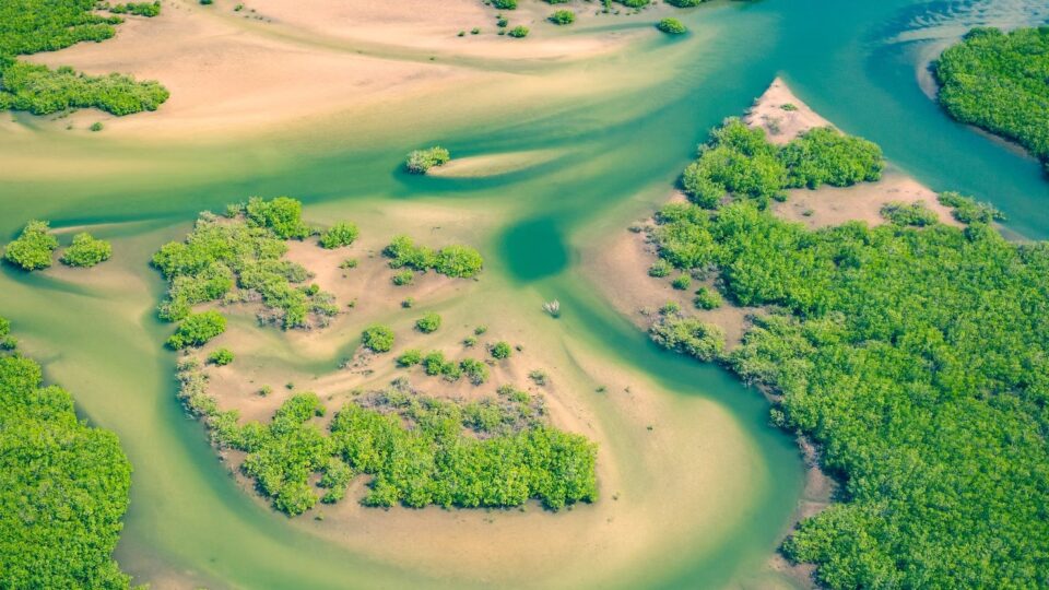 Uso Ecologicamente Sustentável: Resumo