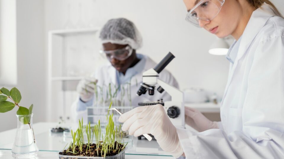 Marco Legal da Biodiversidade