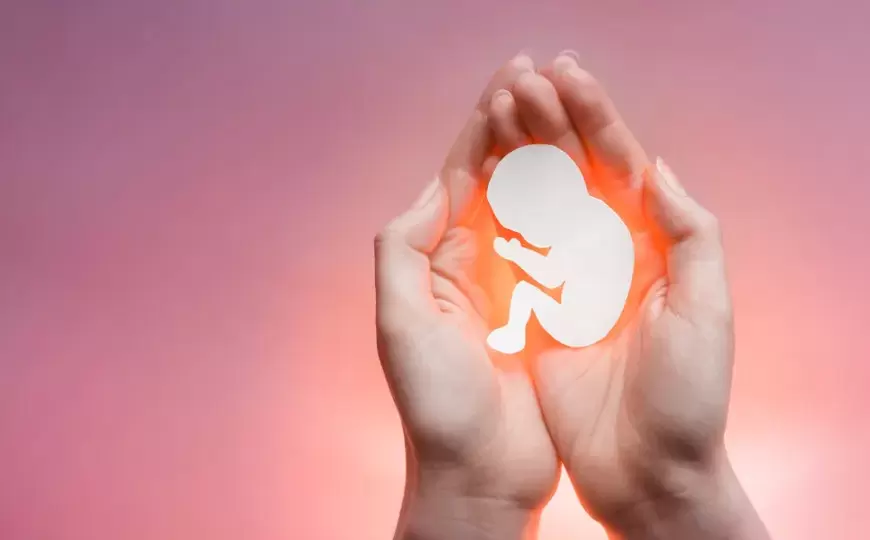 Descriminalização do aborto. Qual é a sua opinião?