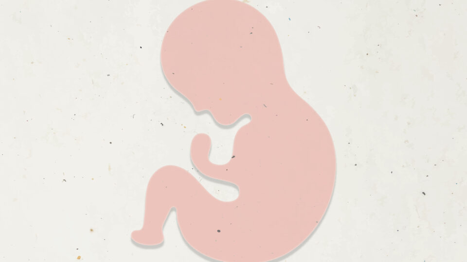 Projeto de Lei – prazo para aborto em caso de estupro?