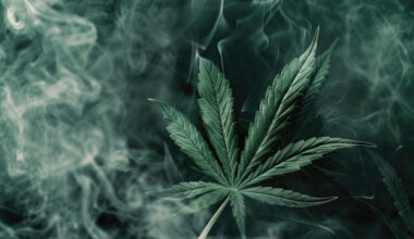 Análise do Tema 506 - Descriminalização do porte de pequena quantidade de maconha para uso pessoal