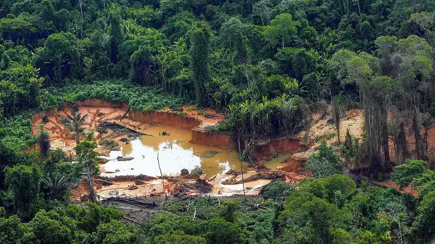 STF decide que multa ambiental é imprescritível