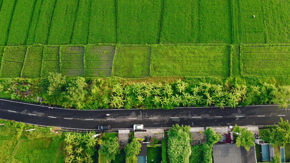Confisco de propriedade rural no tráfico de drogas: visão do STJ