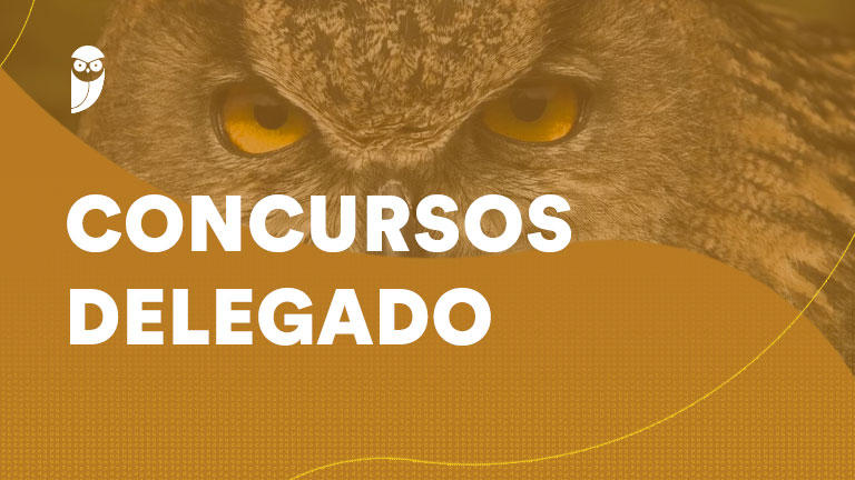 Delegado DF ou RJ? A escolha que pode definir sua aprovação em 2026
