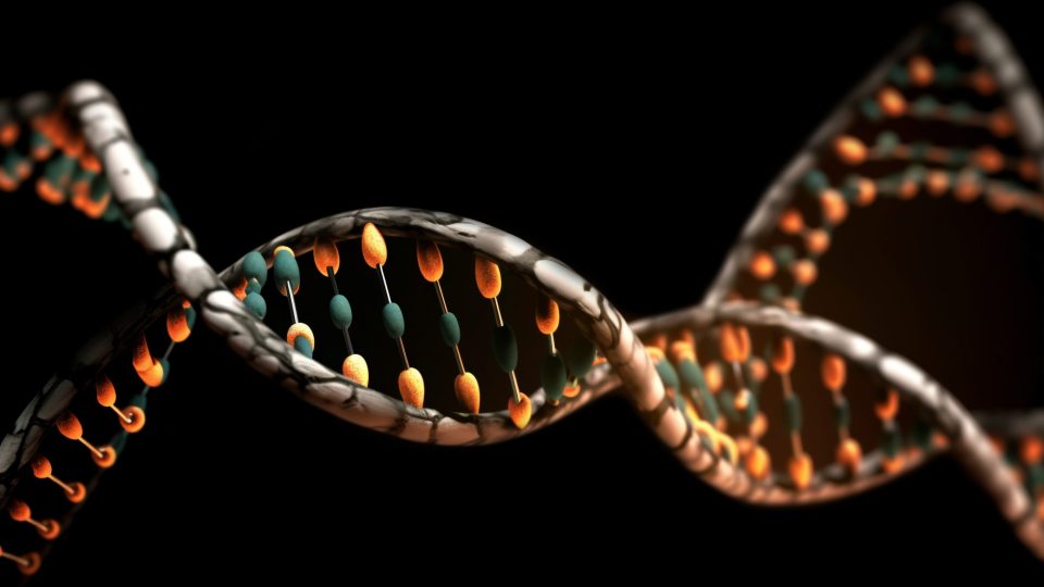 Lei 15.295/25 muda tudo sobre coleta de DNA na Execução Penal