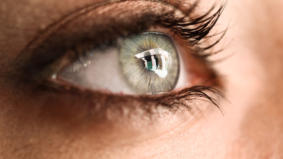 Constitucionalidade da visão monocular como deficiência